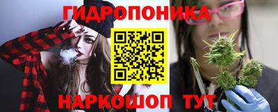 шишки Конаково