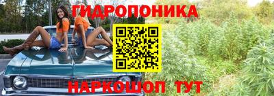 крисы Комсомольск-на-Амуре