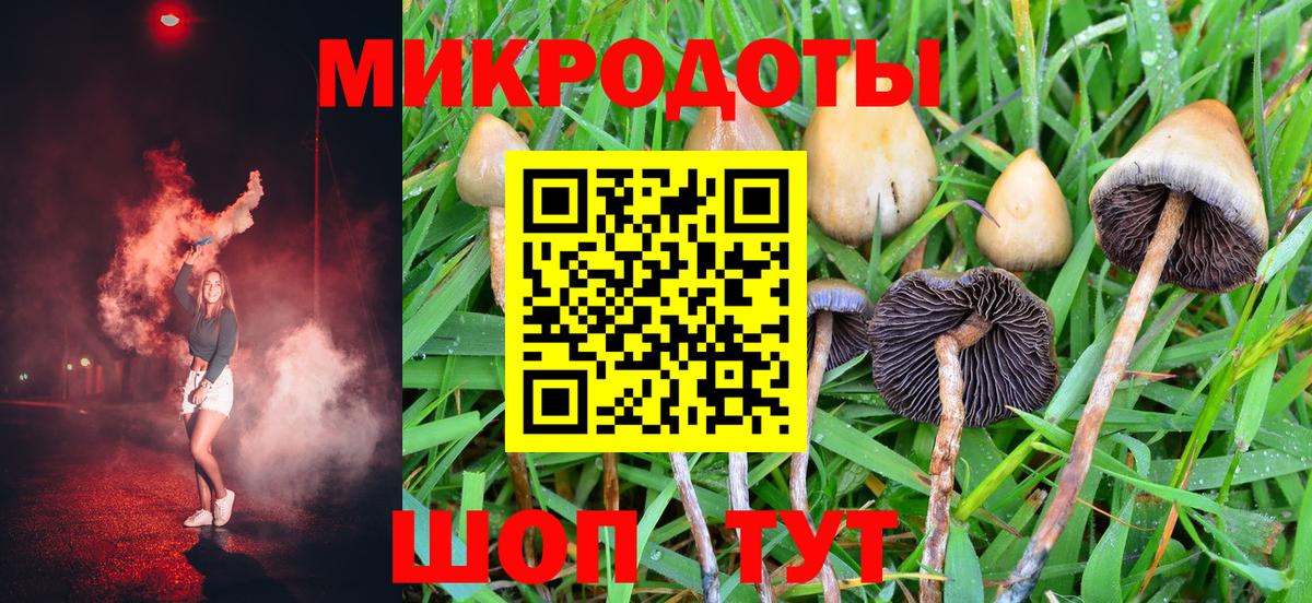 Псилоцибиновые грибы Cubensis Заводоуковск