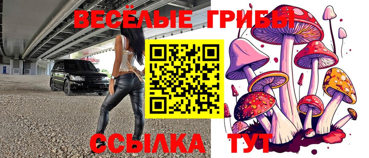 Заводоуковск  Галлюциногенные грибы Magic Shrooms  Псилоцибиновые грибы Cubensis  Вход с VPN 
